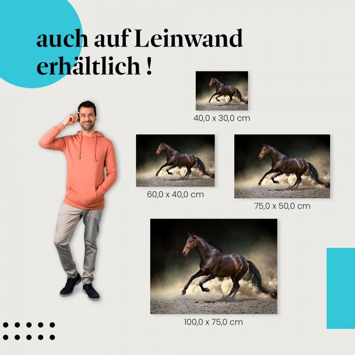 Pferd: Leinwandbild. Galoppierend, Sand, Anmut, Energie.