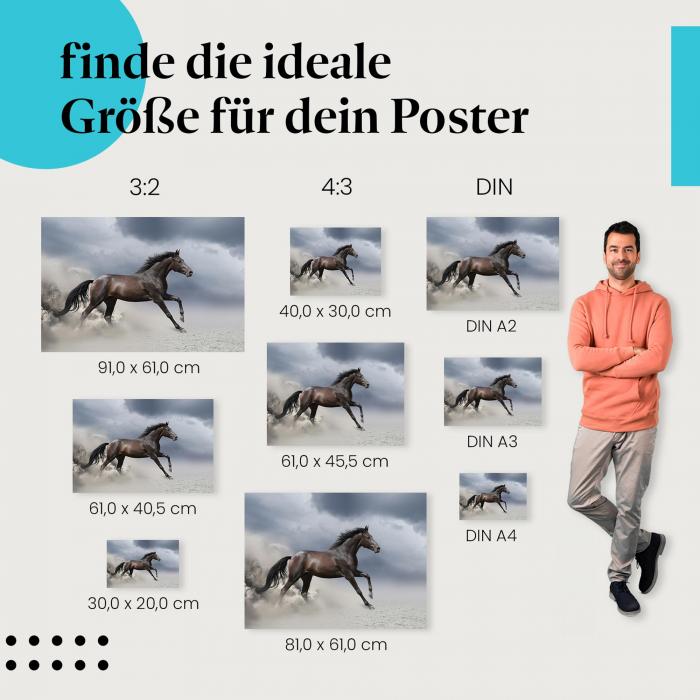 Pferd, Poster: Schwarz, galoppierend, Freiheit, Eleganz, Stärke.