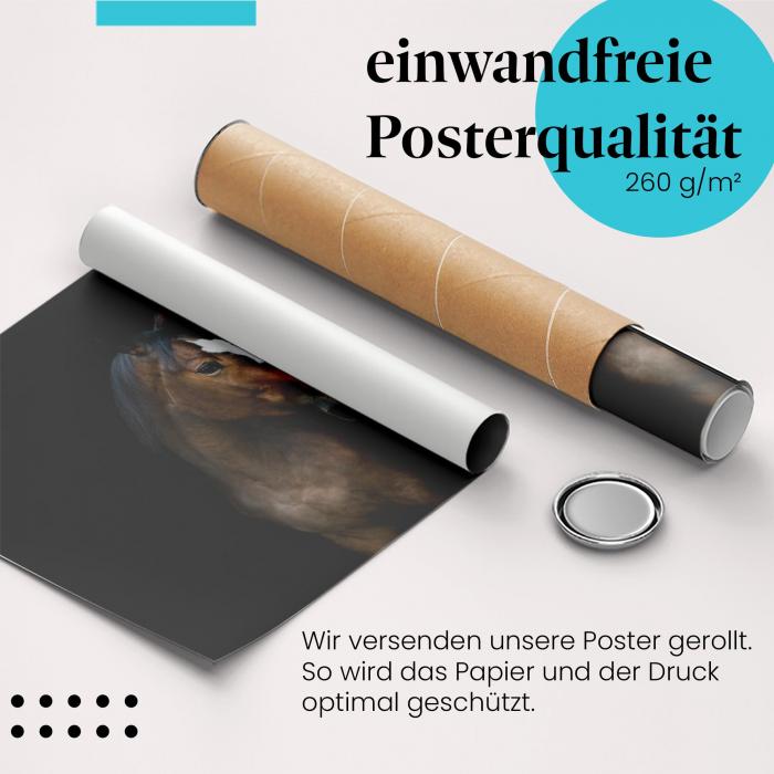 Gerolltes Poster "Pferd" - Tierportrait, sicher verpackt.