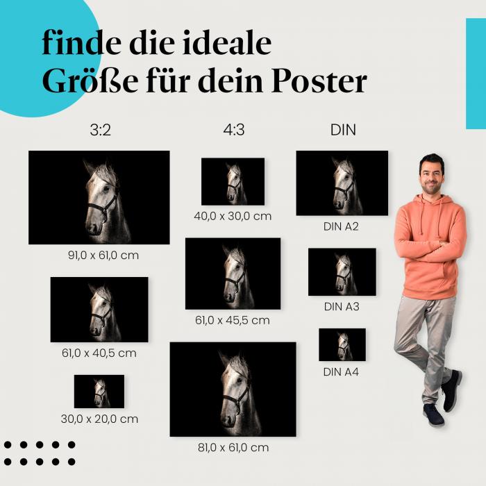 Finde die ideale Postergröße: Schwarzweißporträt eines Pferdes, nachdenklicher Blick.