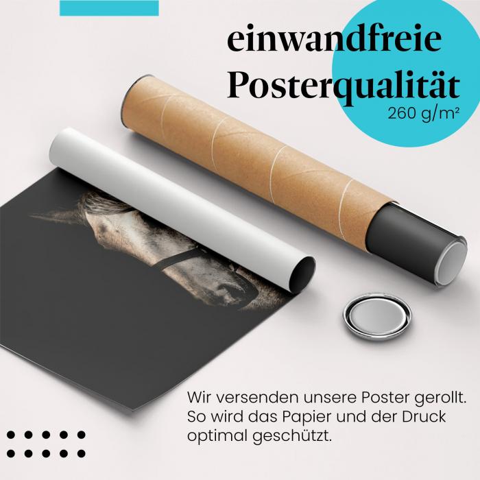 Gerolltes Poster "Pferd" - Edles Tierporträt, sicher verpackt.