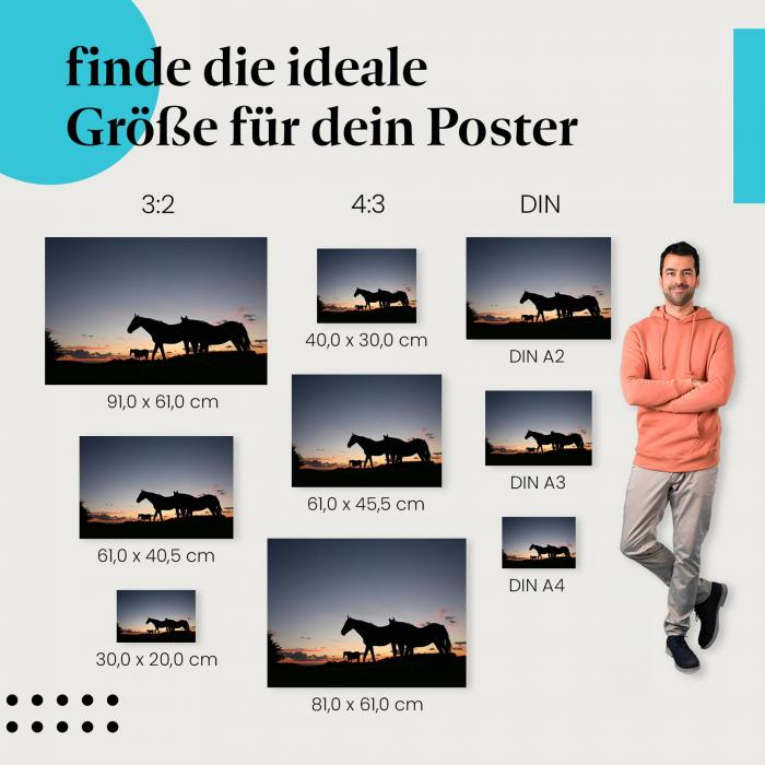 Pferde am Abendhimmel Poster: Pferde Poster - jetzt Poster bestellen!