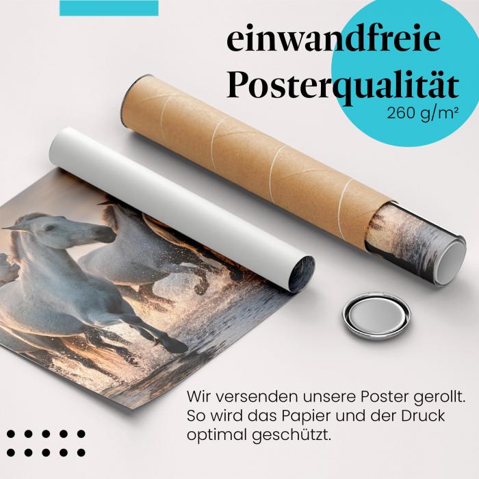 Gerolltes Poster "Pferde am Meer" - Freiheit & Bewegung, sicher verpackt.