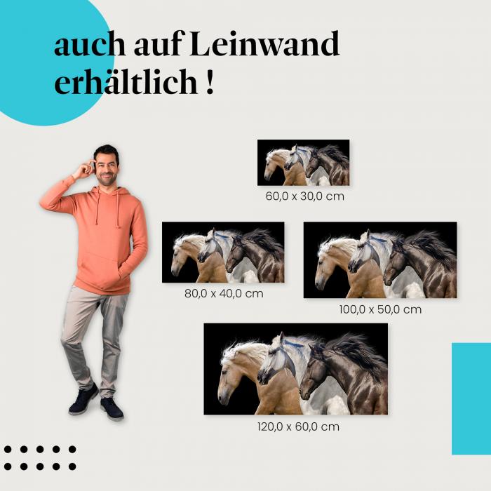 Pferde: Leinwandbild. Galoppierend, Kraft und Eleganz.