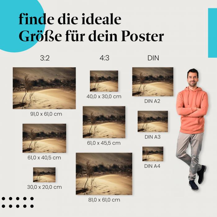 Schönheit der Natur: Wüsten Poster "Einsamkeit in der Wüste" mit stimmungsvoller Atmosphäre