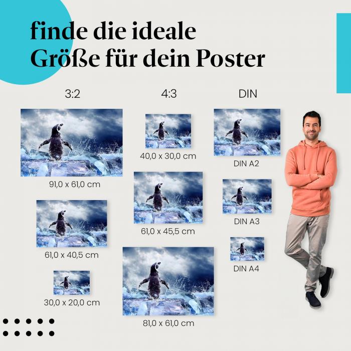 Pinguin Poster: Antarktische Tierwelt - finde die passende Größe!