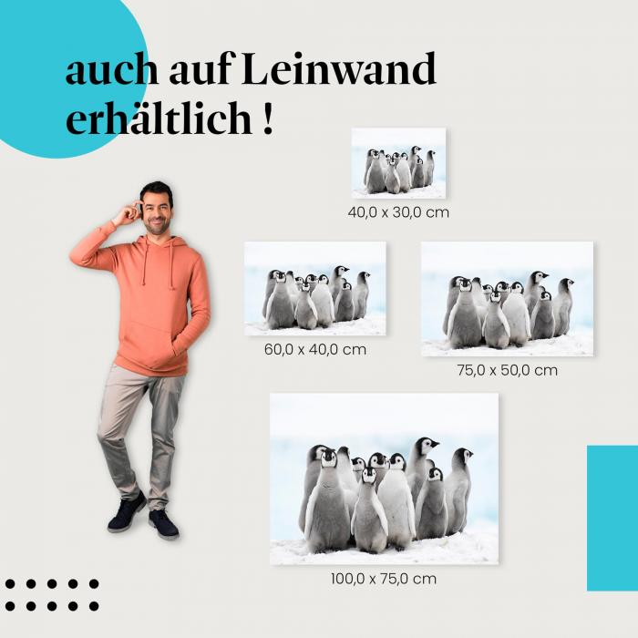 Pinguin-Küken: Leinwandbild. Schnee, niedlich. Wähle deine Größe!