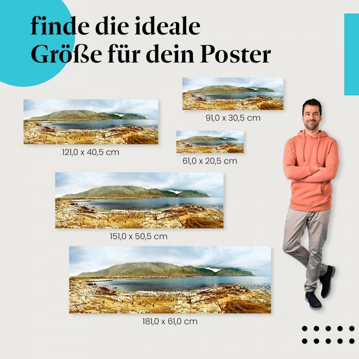 Tierwelt: "Pinguinkolonie am Strand" - Poster mit Pinguinen & Landschaft