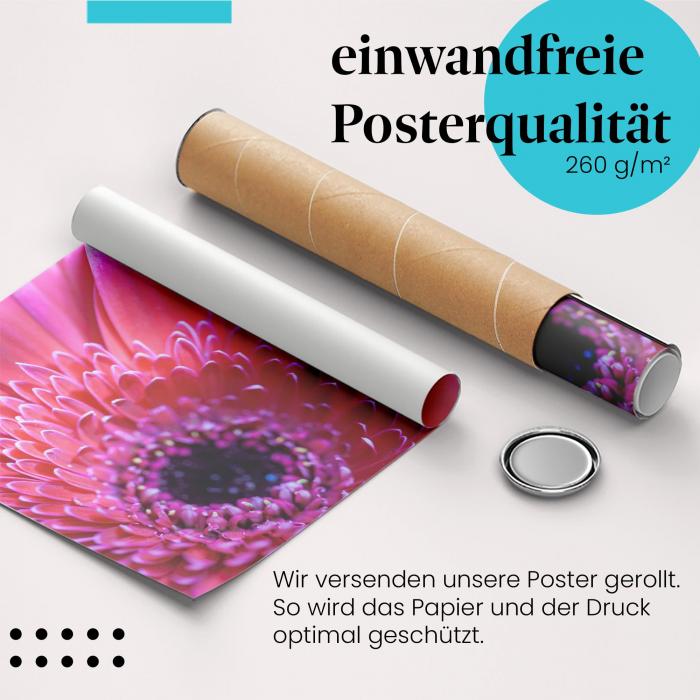 Gerolltes Poster "Pinke Gerbera" - Blumenmotiv, sicher verpackt.