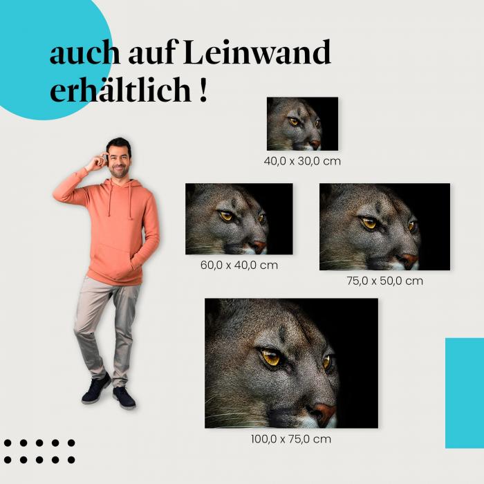 Puma: Leinwandbild. Nahaufnahme, goldene Augen, wähle deine Größe!