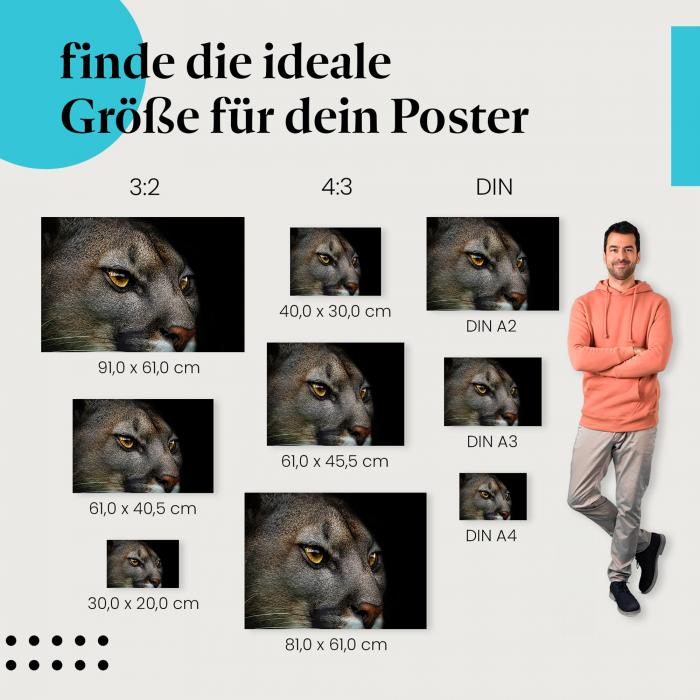 Entdecke die passende Postergröße: Puma, Nahaufnahme, goldene Augen, Wildheit, Eleganz.