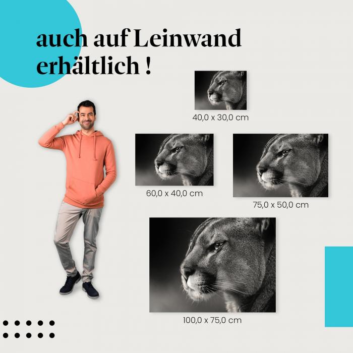 Puma: Schwarzweiß-Porträt als Leinwandbild. Entdecke die Wildheit! Wähle deine Wunschgröße.