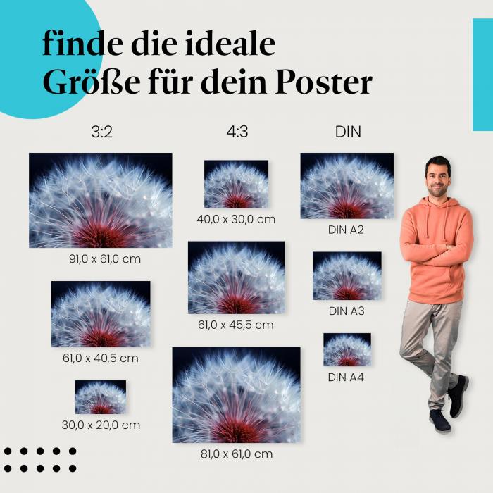 Entdecke die passende Postergröße: Pusteblume, Makro, weiße Samen, roter Boden.