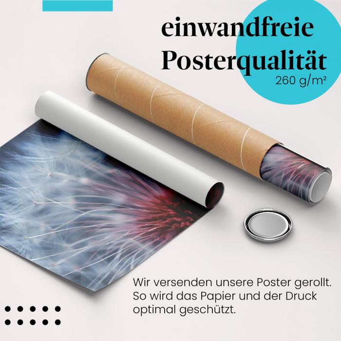 Gerolltes Poster "Pusteblume Detail" - Natur & Makro, sicher verpackt.