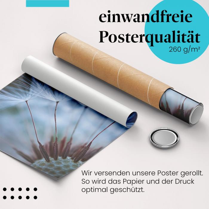 Gerolltes Poster "Pusteblume". Faszinierende Details, sicher verpackt.