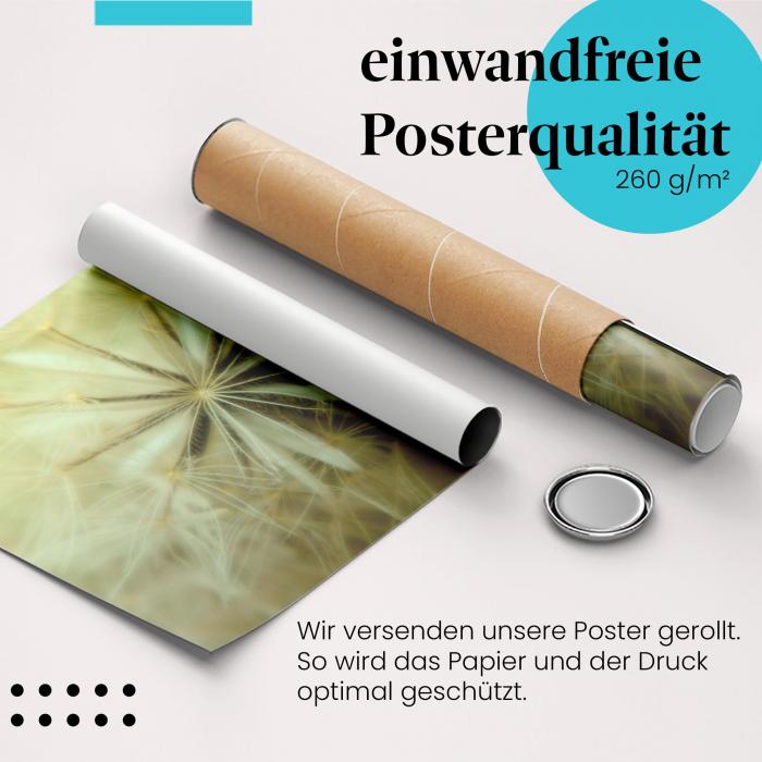 Gerolltes Poster "Pusteblume", Schönheit, zart.