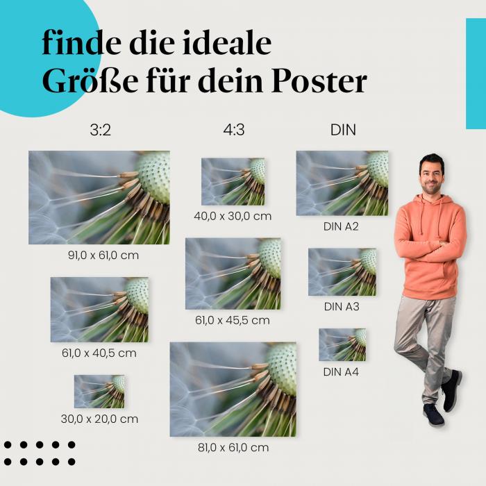 Pusteblume Makroaufnahme Poster: Naturfotografie - jetzt bestellen!