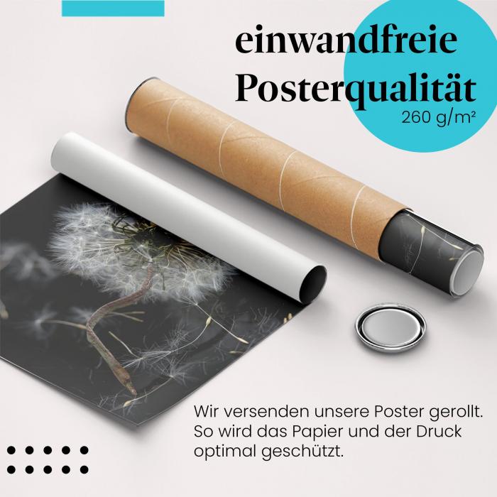 Gerolltes Poster "Pusteblume". Zarte Schönheit, sicher verpackt.