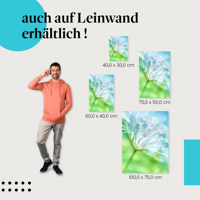 Leinwandbild "Luftige Pusteblume": Frühling & Zauber der Natur