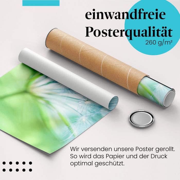 Gerolltes Poster "Pusteblume", blau, luftig.