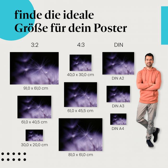 Finde die ideale Postergröße: Pusteblume, violett, Makroaufnahme, Samen.