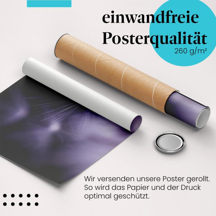 Gerolltes Poster "Pusteblume" - Vergänglichkeit, sicher verpackt.