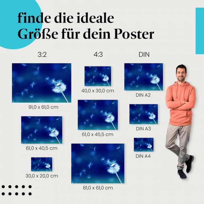 Pusteblume Poster: Zarte Schönheit für deine Wand - jetzt Größe wählen!