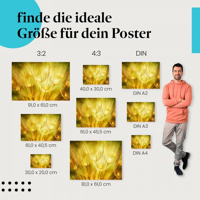 Zarte Schönheit: Makro Poster "Goldener Zauber der Pusteblumen"