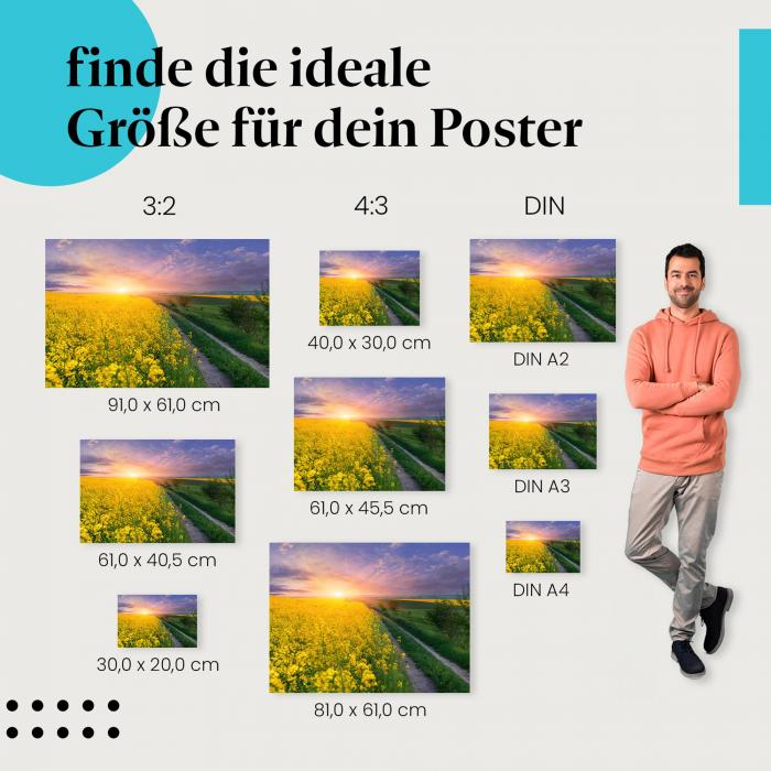 Farbenpracht der Natur: Rapsfeld Poster "Blütenmeer im Sonnenuntergang"