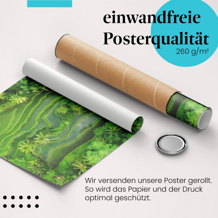 Gerolltes Poster "Reisterrassen". Landschaft & Landwirtschaft, sicher verpackt.