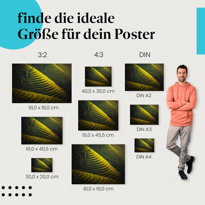 "Reisterrassen" Poster: Wähle deine passende Grösse und hol dir die Schönheit der Natur nach Hause.