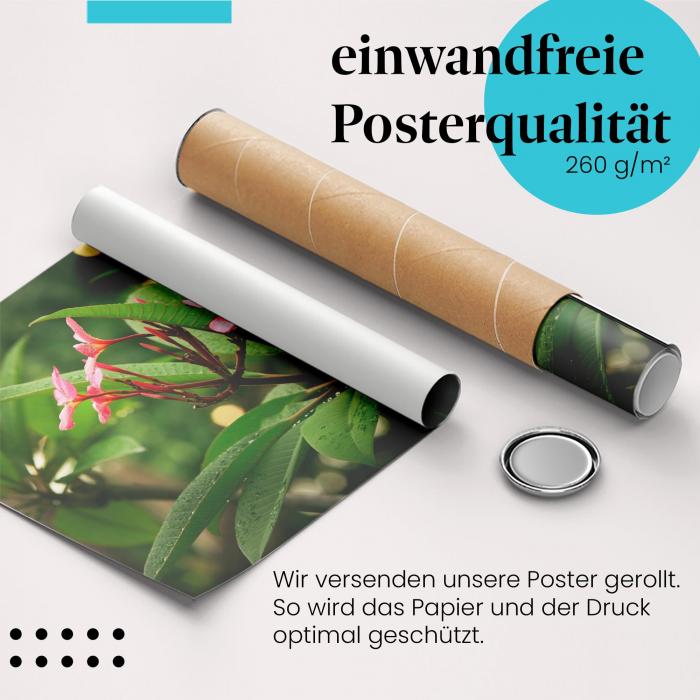 Gerolltes Poster "Tropische Blüte" - Exotische Pflanze, sicher verpackt.