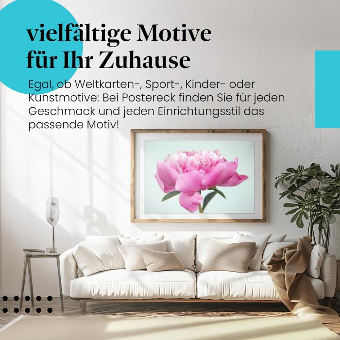 Stylisches Leinwandbild: Zarte Schönheit: Rosa Pfingstrose in voller Blüte.