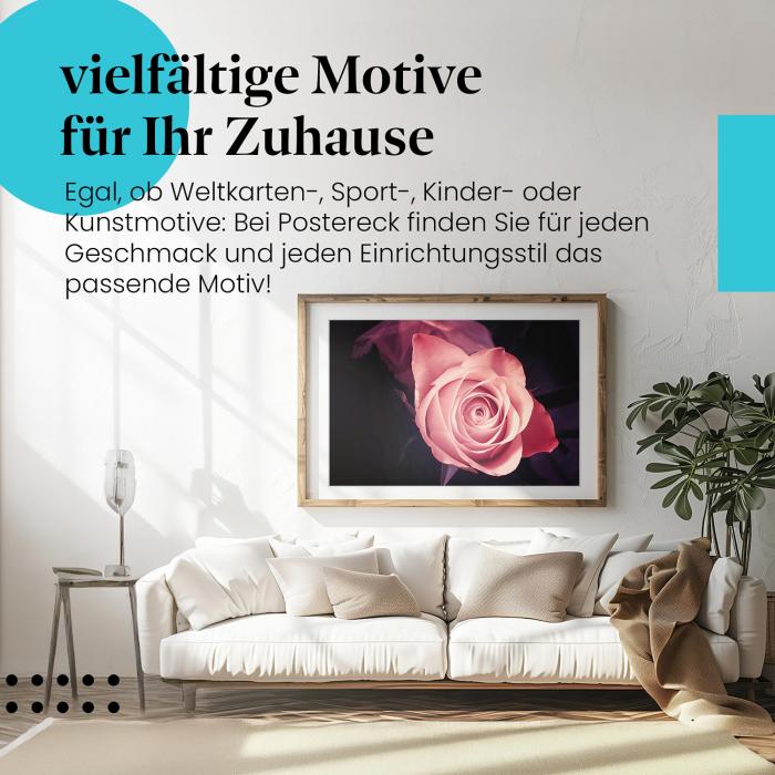 Leinwandbild "Rosa Rose": Zarte Blüte, Symbol der Liebe, perfekt für Romantiker.