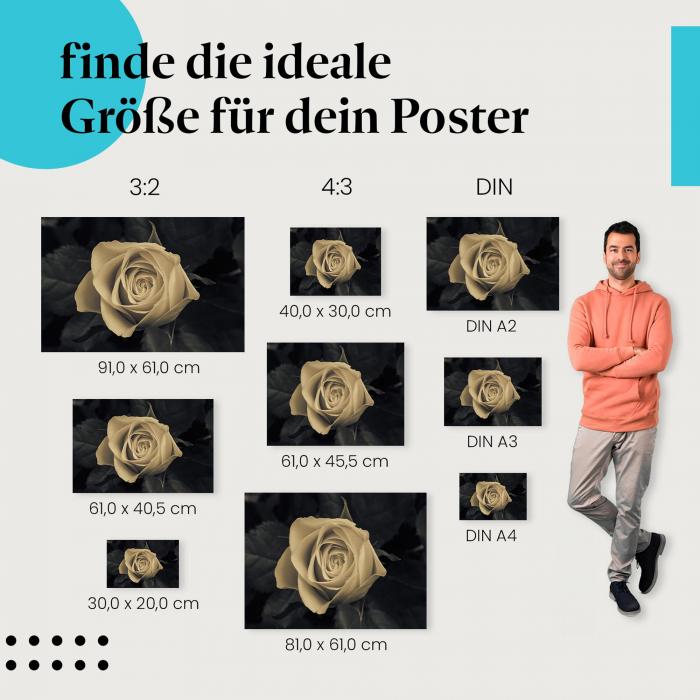 Finde die ideale Postergröße: Rose, Sepia, romantische Stimmung, dunkler Hintergrund.