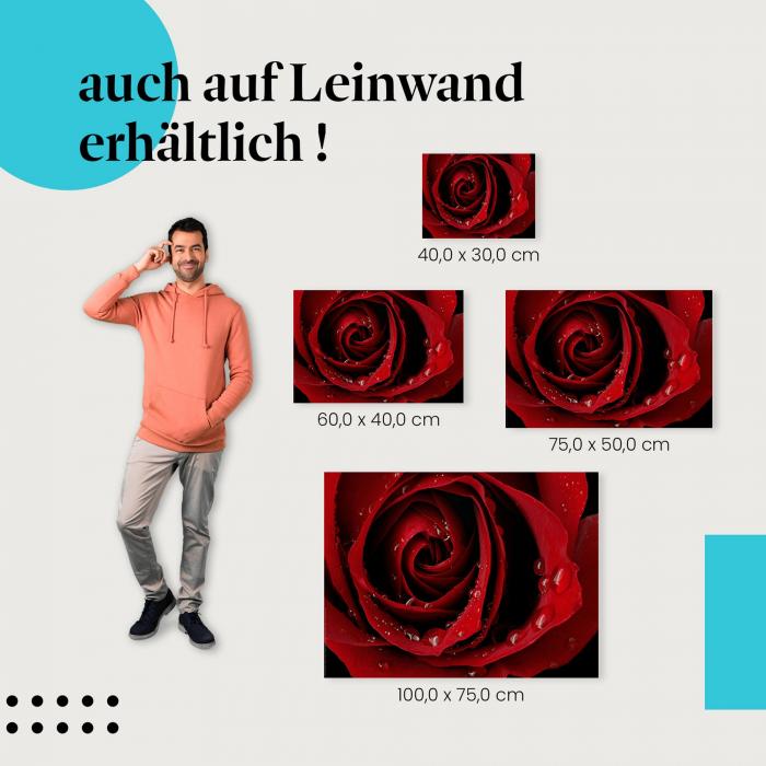 "Rote Rose" Leinwandbild. Ideale Größe für dein Zuhause - setze stilvolle Akzente mit Kunst!