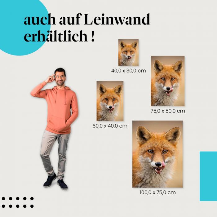 Fuchs: Leinwandbild. Rot, Blick, Zunge, Augen.