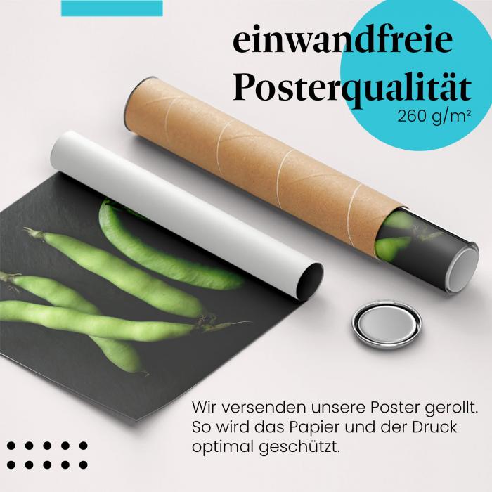 Gerolltes Poster "Saubohnen" - Gesunde Ernährung, sicher verpackt.