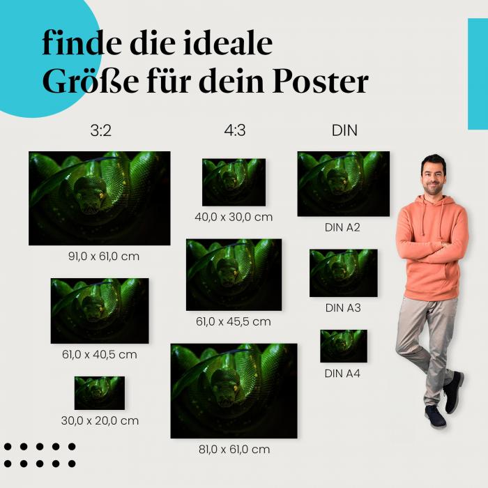 Entdecke die passende Postergröße: Grüne Schlange, leuchtende Augen, Schuppen.