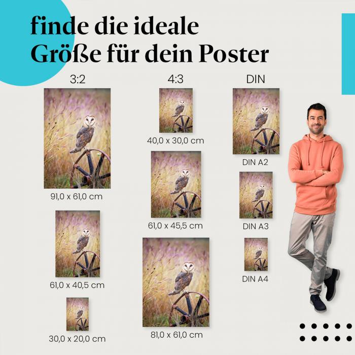 Finde die perfekte Postergröße! Schleiereule, Wagenrad, mystisch.