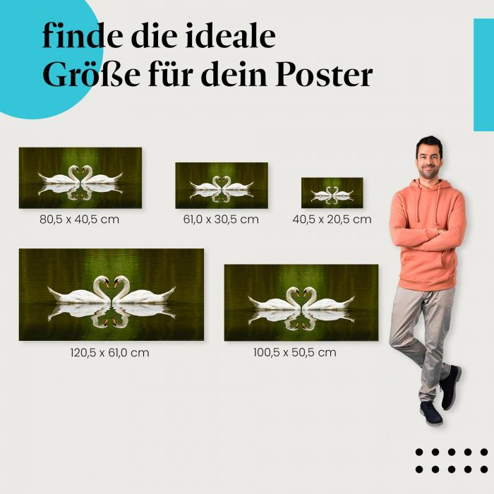 Schwäne Poster: Anmutige Vögel - Poster in verschiedenen Größen!