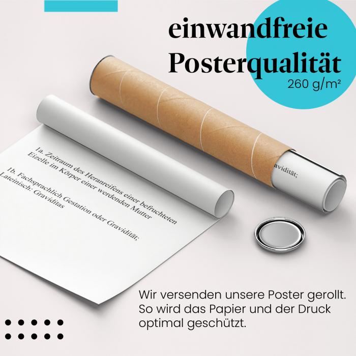 Gerolltes Poster "Schwangerschaft". Wissen & Biologie, sicher verpackt.