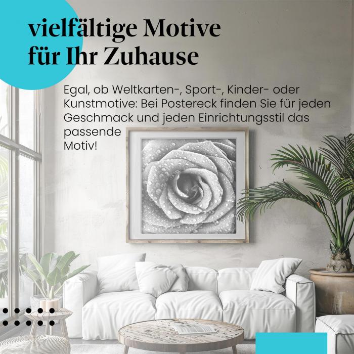 Zarte Schönheit: Poster "Rose in Schwarz-Weiß" - elegant & romantisch.