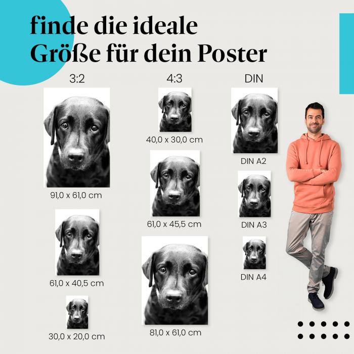 Labrador Portrait Poster: Schwarz-Weiß Hundeposter - jetzt bestellen!