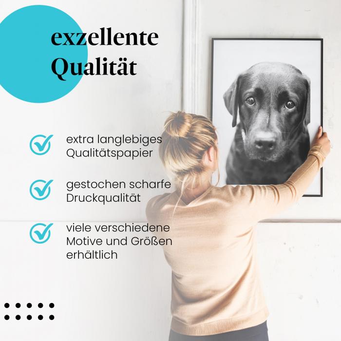 Gerahmtes Wandbild "Labrador Portrait, Schwarz-Weiß", langlebiges Papier, verschiedene Größen erhältlich.