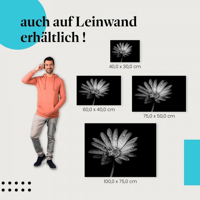 "Blume in Schwarz-Weiß" Leinwandbild: verschiedene Größen - für deine persönliche Wandgestaltung!