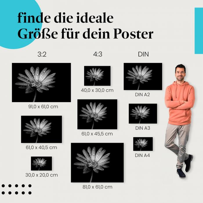 "Blume in Schwarz-Weiß" Poster: Finde deine passende Größe und hol dir die Schönheit der Natur in dein Zuhause!