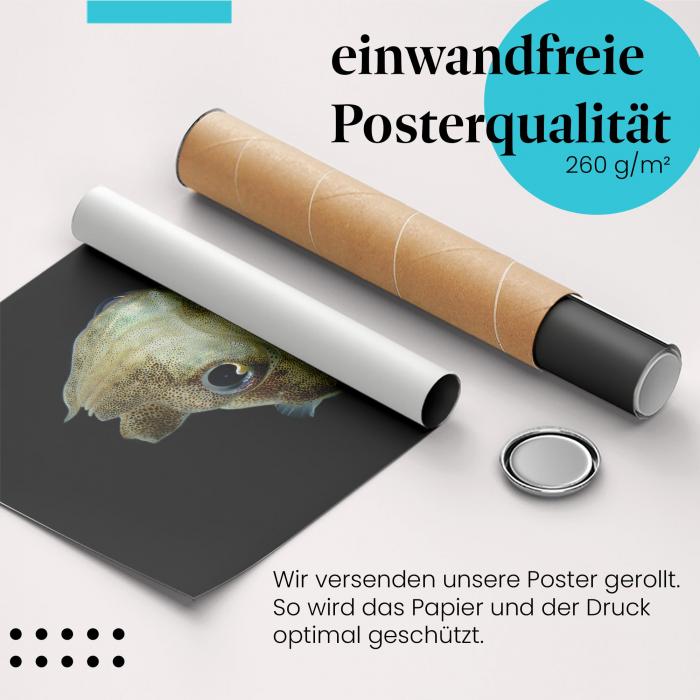 Gerolltes Poster "Tintenfisch", Tiefsee, geheimnisvoll.