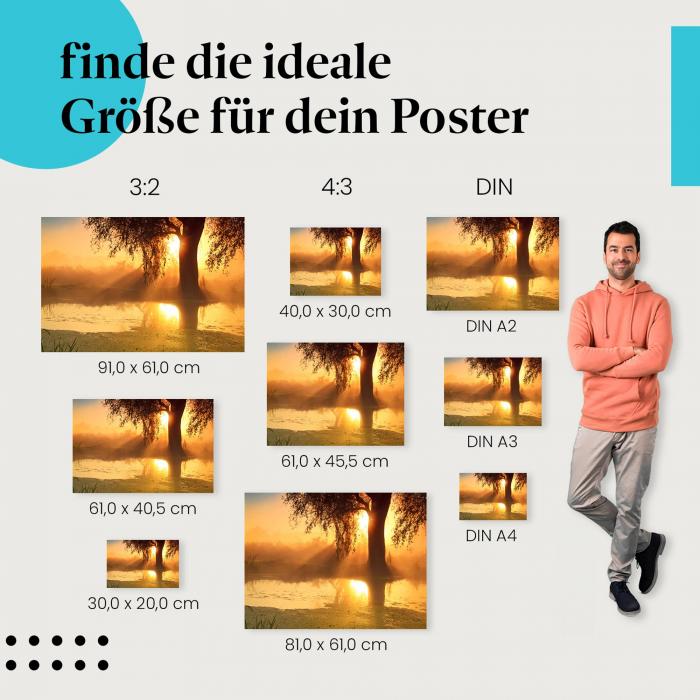 "Sonnenaufgang am See": Poster - See, Baum & goldenes Licht