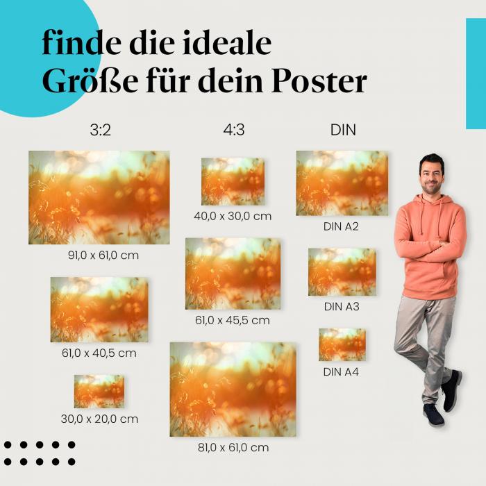 Gras, Poster: Sonnenlicht, gold, Lichtspiel.